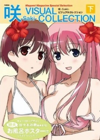 Book VisualFanBook2.jpg