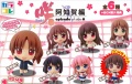 AchigaKoreBox1.jpg